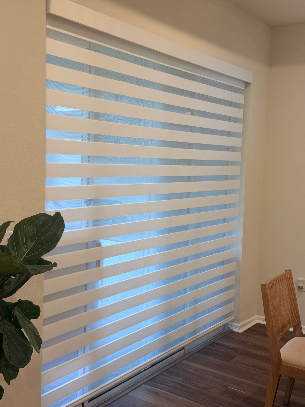 Sleek roller and solar shades softening strong daylight in a contemporary living space